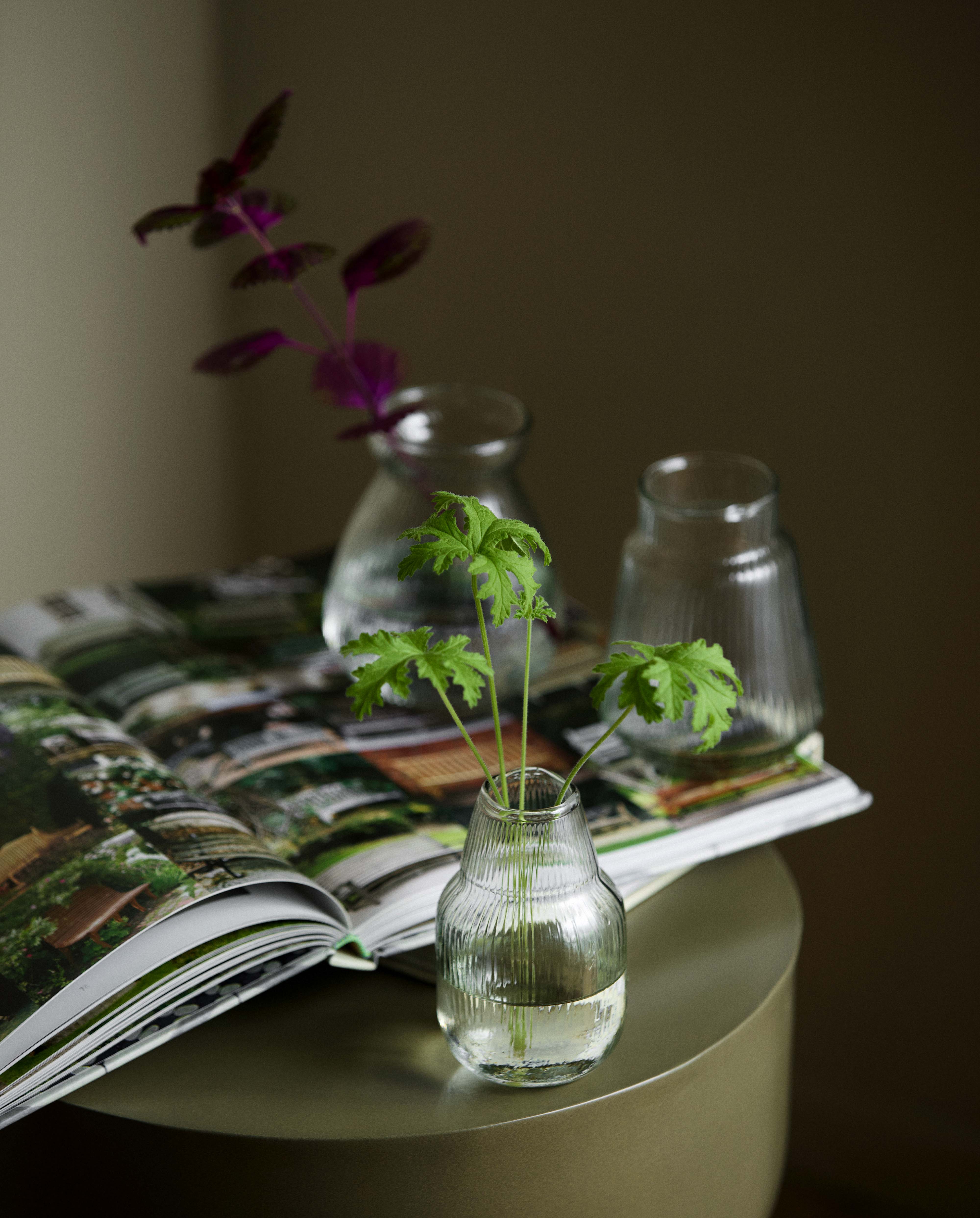 JURA vase - klar