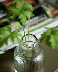JURA vase - klar