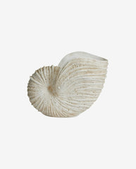 KETOY konkylie til dekoration - H41 cm - hvid